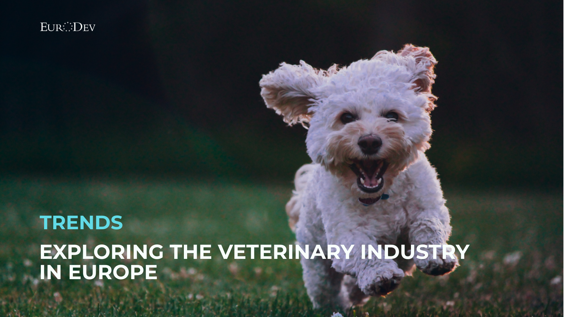 Exploring the Veterinary Industry In Europe